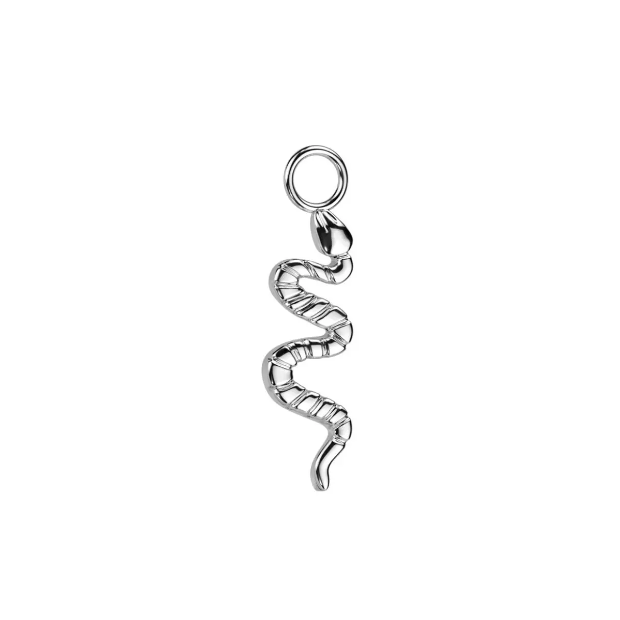 Titanium Snake Earring Charm