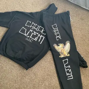 CARPE DIEM LLC WINNING HOODIES Unisex men’s and Women’s sportswear Sweaters