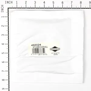 Briggs & Stratton 492024 Carburetor Overhaul Kit