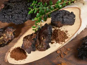 Wild Northern Minnesota Ground Chaga - Hand Milled - Includes Black Crust For Traditional Brewing