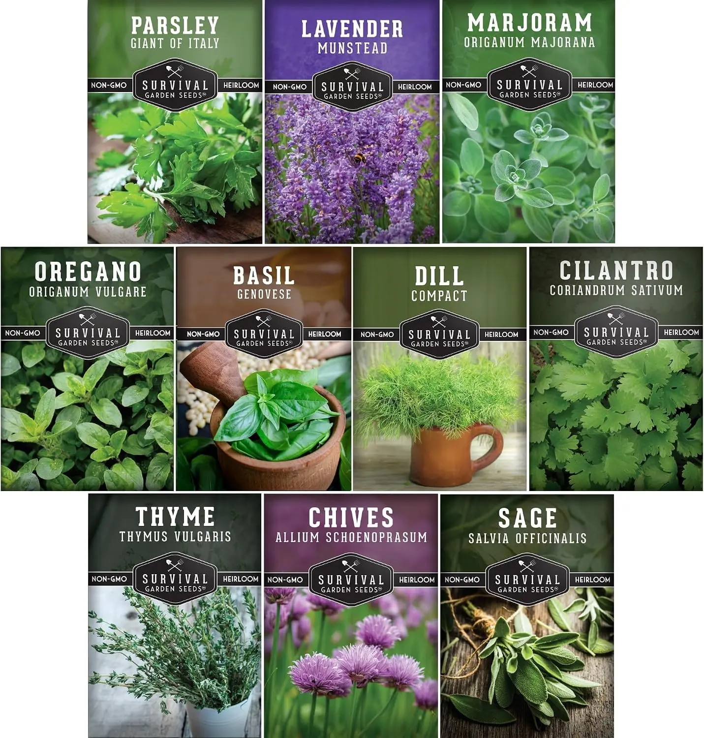 10 Culinary Herb Seed Pack Collection for Planting, Heirloom Herb Garden Seeds Variety Pack, Basil, Cilantro, Lavender, Dill, Parsley, Oregano, Thyme, Sage, Chives & Marjoram for Indoor Kitchen Gardens