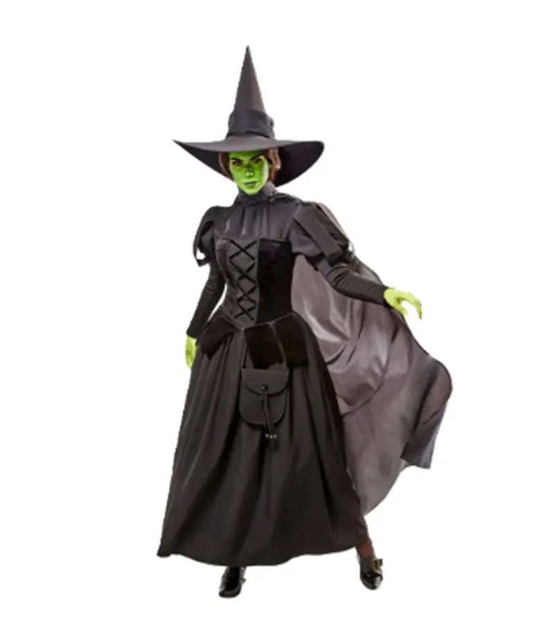 Wicked Witch - Wizard of Oz - Wicked - Deluxe Costume - Women - Medium