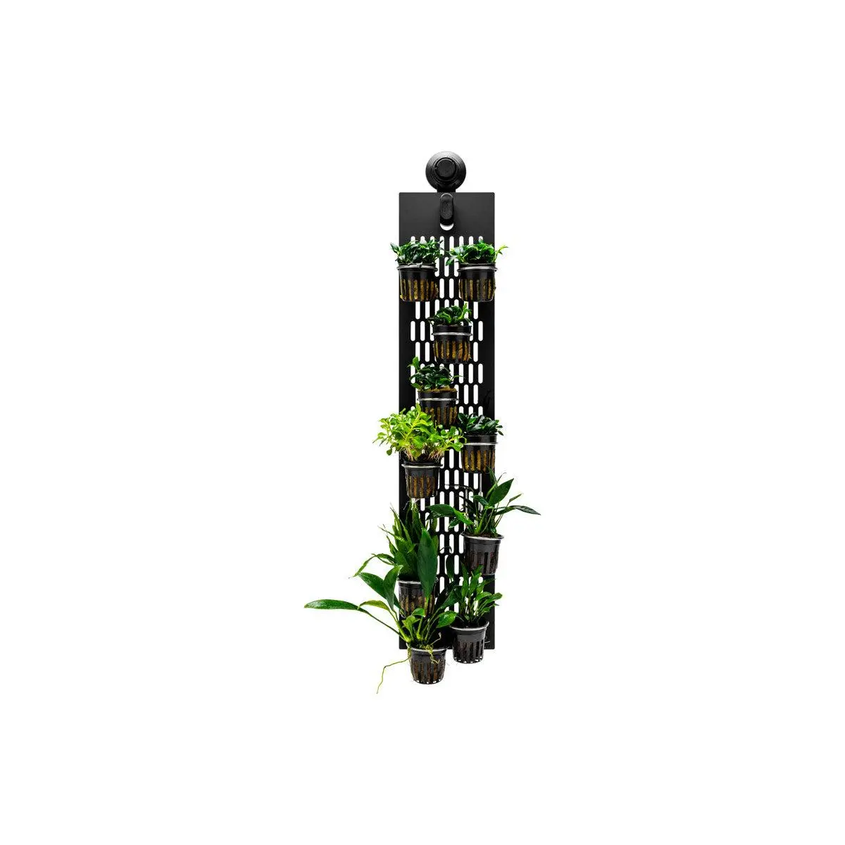 UNS Foresta Plant Holding System - Expansion Board Set