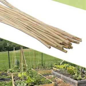 2024 30Pcs Bamboo Plant Stakes for Indoor Outdoor Plants, 0.3 inch-0.4 inch/7 Bamboo Sticks Garden Support Stakes Bamboo Poles Trellis for Tomato Vegetables Beans Trees Potted Climbing Plants