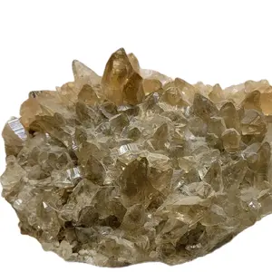 F2 Zagi Mountain DogTooth Citrine with Terminated Black Tourmaline Home Ornament