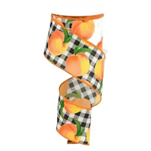 2.5" x 10yd Peaches & Gingham Ribbon – Black/White