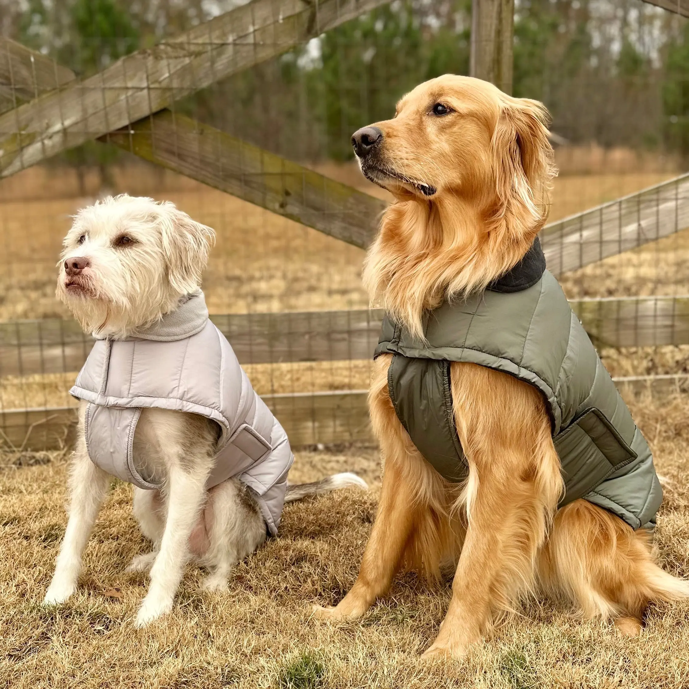 AGuyandAGolden Puffer Jackets