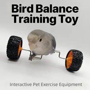 Interactive Bird Balance Bike Toy for Parrot Training & Mental Stimulation