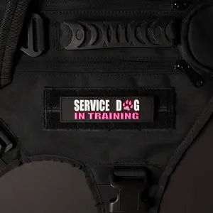 Service Dog In Training w/ Pink Paw