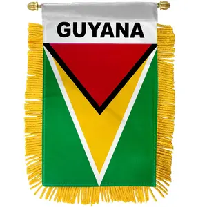 Guyana Mini Banner
