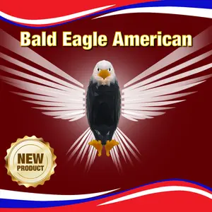 The Bald Eagle Wall Light,Decorations for home,Eagle Night Light with Remote Control,Holiday Gifts for All, Gifts for Women, Gifts for Men