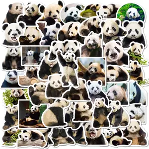 50PCS Cute Realistic Giant Panda Graffiti Stickers For Luggage Phone Case Laptop Notebook Decals Kids Gift RecordingYourLife