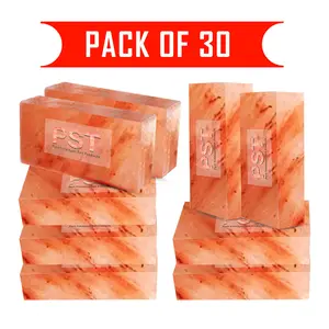 Wholesale Himalayan Salt Bricks Pack of 30 Perfect for Salt Wall