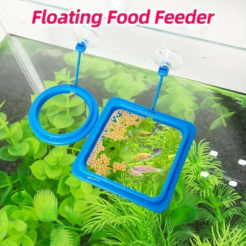 1pc Fish Feed Feeding Ring for Fish Tank, Anti-Diffusion Plastic Feeding Ring, Circular Square Aquarium Fish Tank Feeder, Non Slip Aquarium Feeding Ring