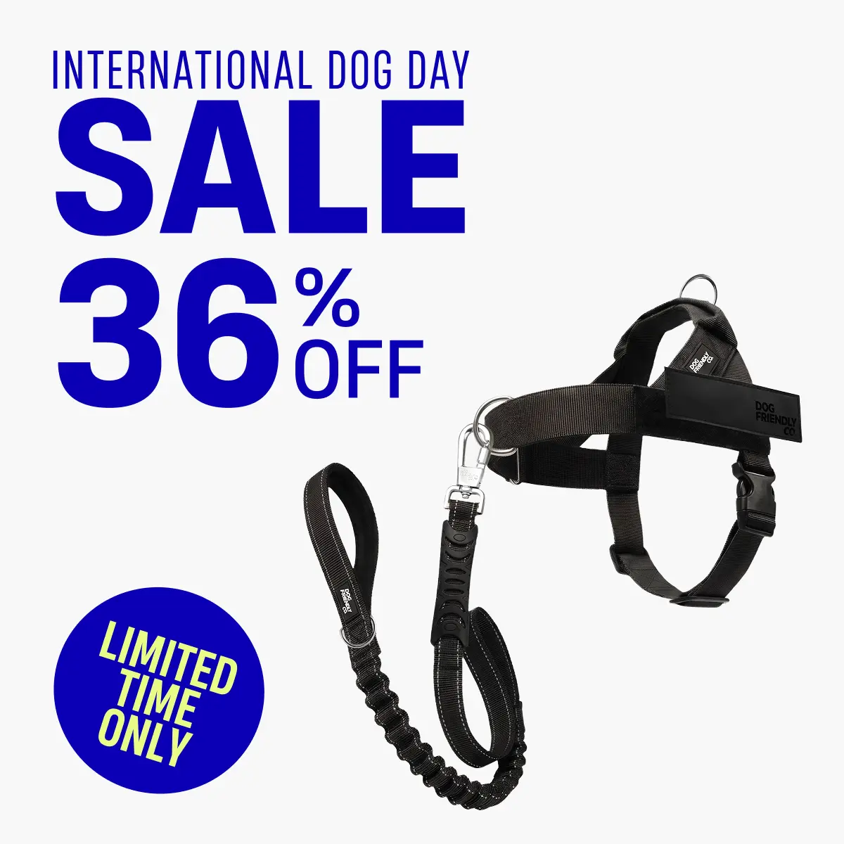 No Pull Dog Harness & Leash Set – Signature Kit + No Pull D-Ring - Dog Friendly CO No Pull Dog Harness & Leash Set – Signature Kit + No Pull D-Ring - Dog Friendly CO