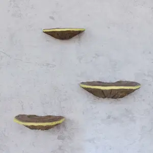 3pcs Mushroom Shape Storage Rack, Practical Floating Shelf, Wall Mount Design, Decorative Home and Balcony Tool, Resin Ornaments, Art Space Decoration