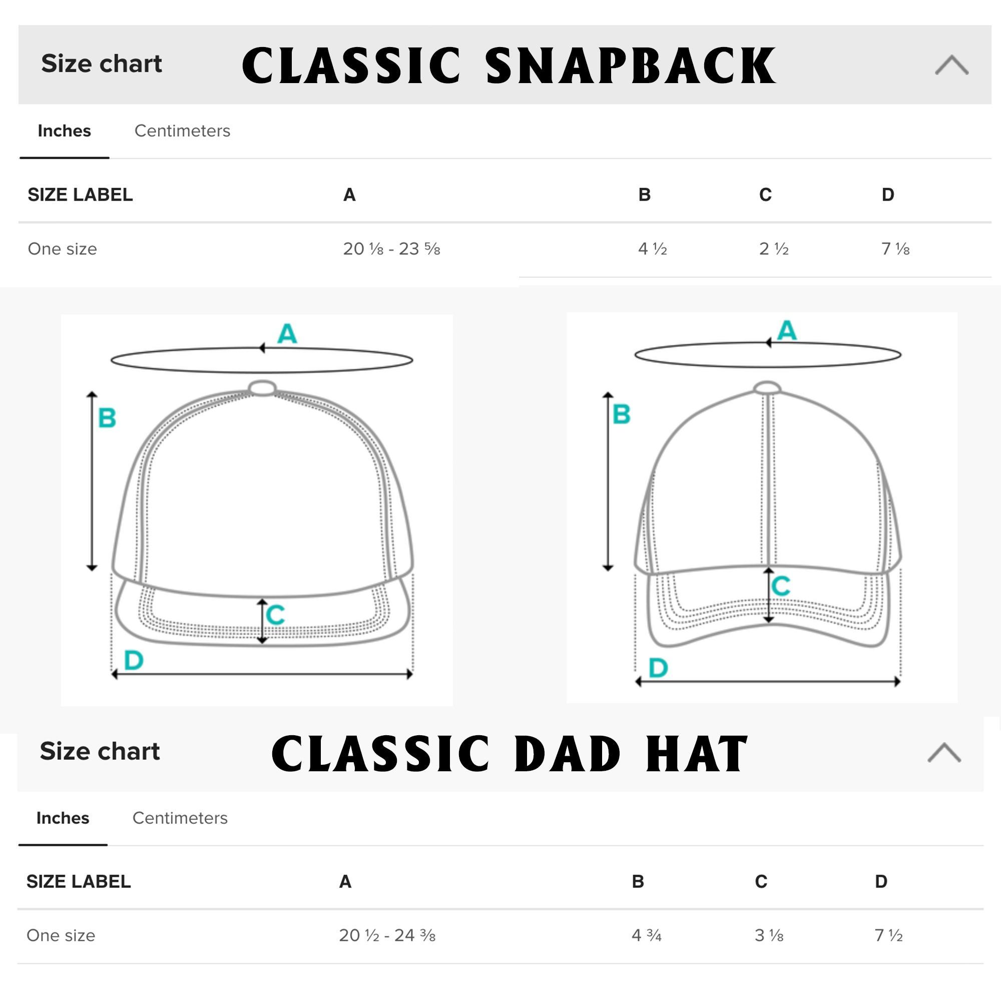 FDT Anti Trmp Baseball Hat Embroidered Hat, Resist Anti Maga Trmp Merch 24,  Funny Trmp Political Hats Political Merch