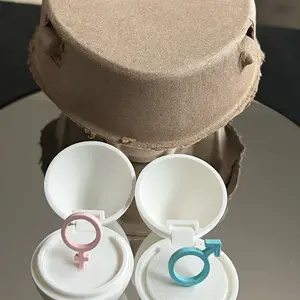 Gender Reveal Eggs in Heart-Shaped Egg Carton - Perfect for Twin and Triplet Reveals! Baby Showers Gifts Parents Loved Ones