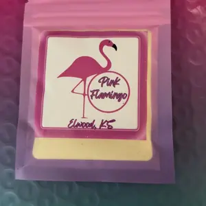 Peach Mango Protein Loaded Tea Add In