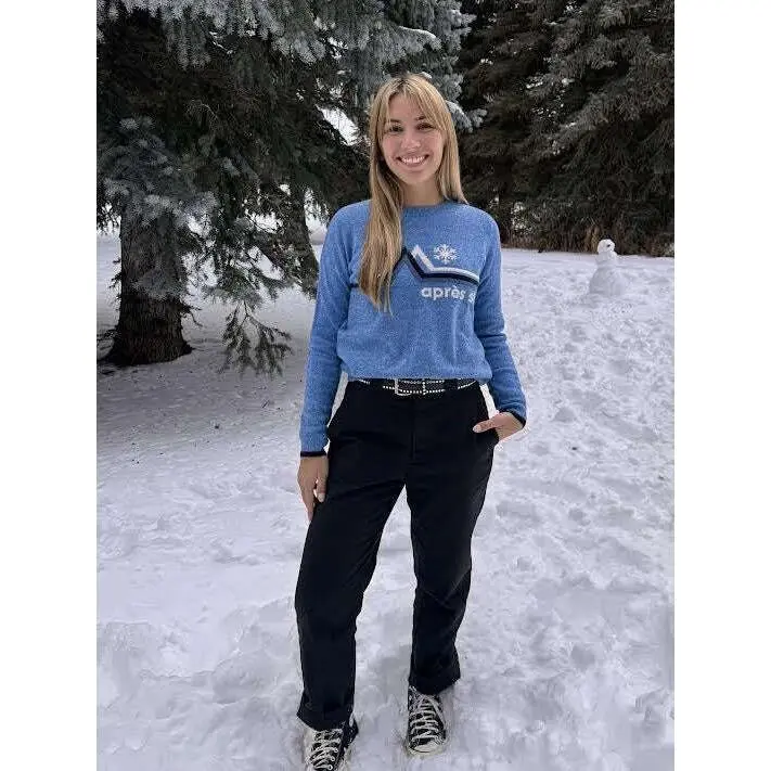 Autumn Cashmere Apres Ski Mountain Sweater - Space Combo
