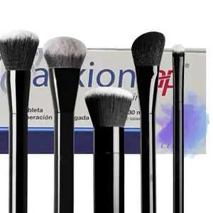 Fancy Glam Makeup brushes AP
