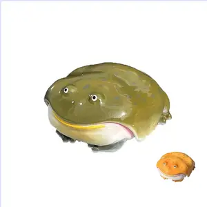 Funny, Weird, Ugly Frog Shaped Second Generation Handmade High end Protective Cover, Designed for Earphone Protection]