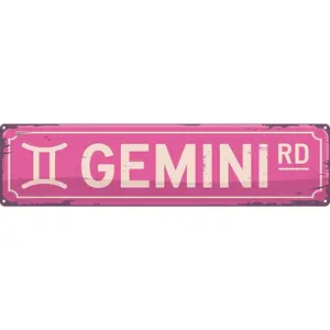 Gemini Rd Funny Rustic Astrology Lovers Constellation Pink Wall Metal Tin Signs Decor 4x16 in