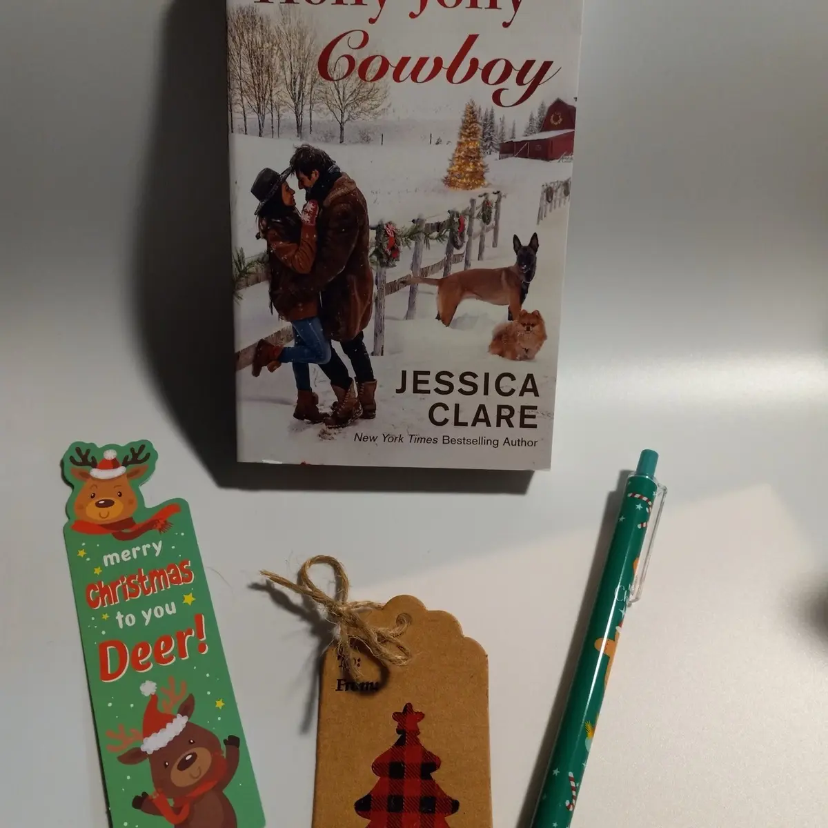 Small blind date with a Christmas book