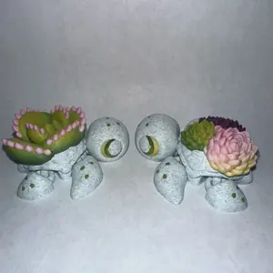 Flexi Bear Paw Succulent and Hens and Chicks Succulent Baby Turtle Figurines