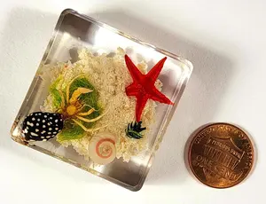 37mm Real Hermit Crab w/Starfish & Shell Decoration on Sea Bottom in Crystal Clear Lucite Resin Aquatic Scenery Diorama Decor Specimen Preserved Taxidermy Crafts Collection Science Education Display