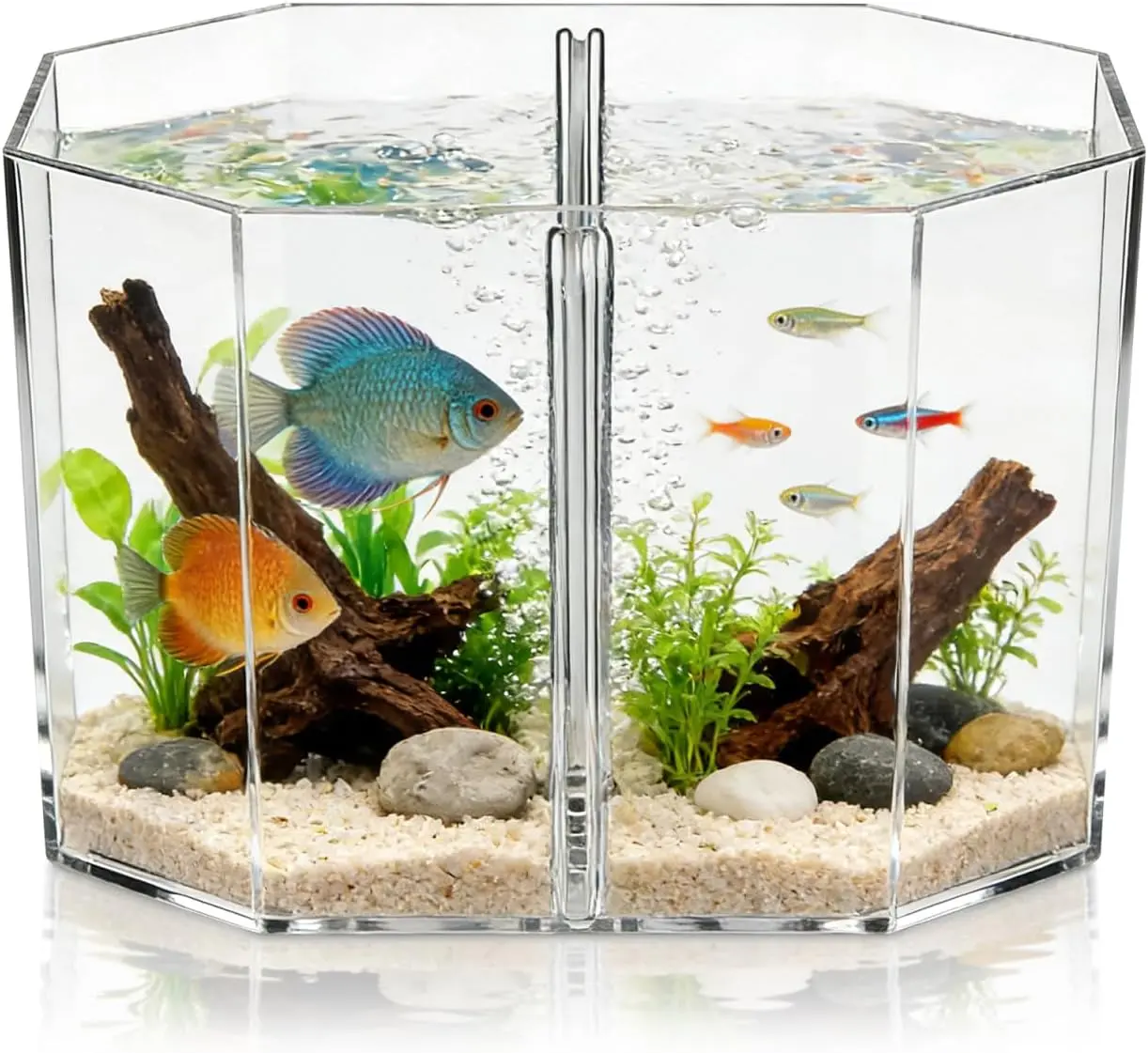 Totority Box Octagonal Fish Tank Betta Fish Bowl Small Containers Shrimp Tank Baby Cart Covers Turtle Tank Betta Fish Tank Fish Breeding Tank Betta Tank Acrylic Self-Cleaning
