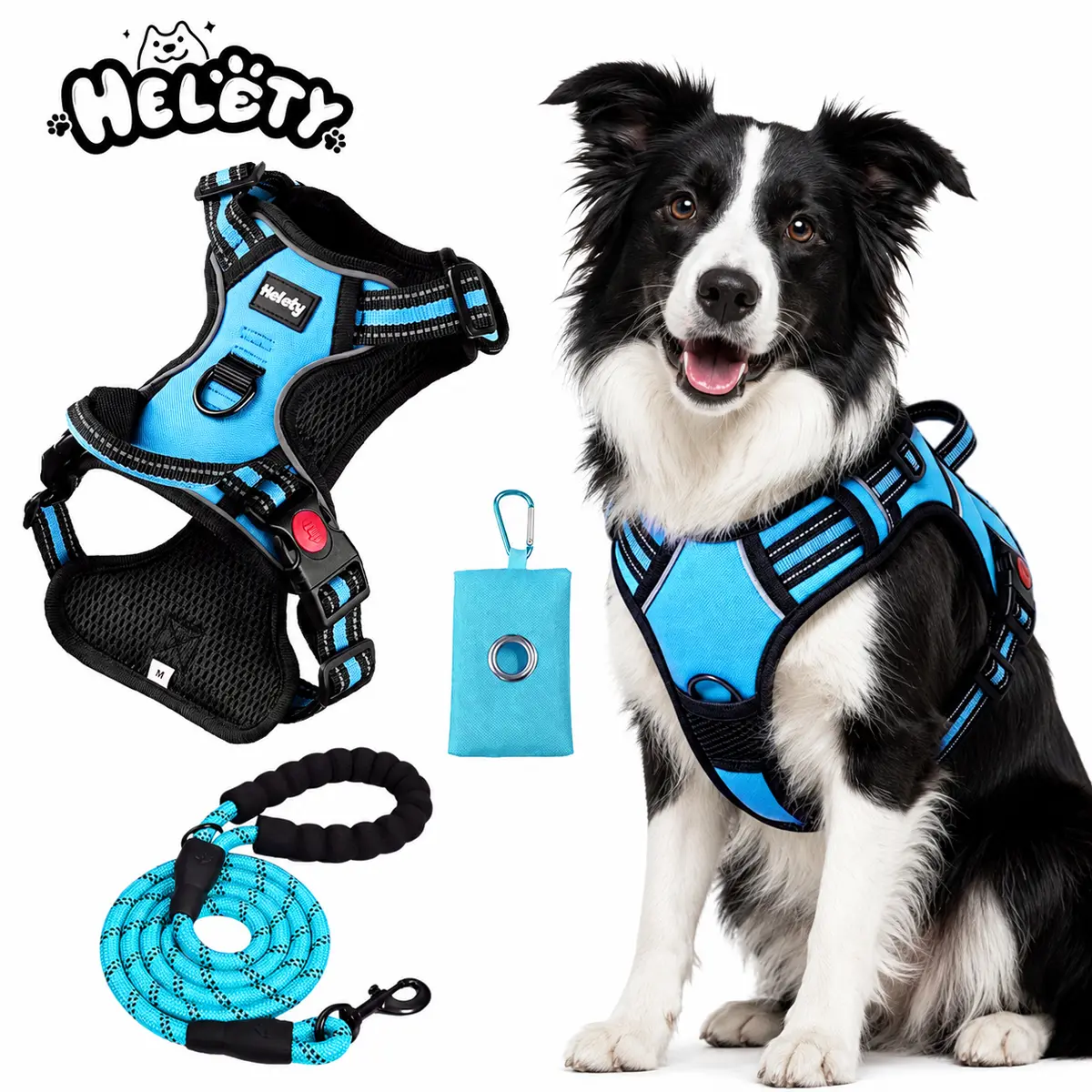 Helety Controlled-Walk Dog Harness Set, Vest-Style Harness with 59 in Leash and Poop Bag Holder for Sidewalks and Everyday Outings