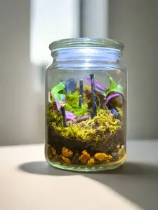 MyTinyEcosystem: Terra DIY Kit