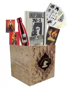 Harry Potter Collectibles | LookSee Collectors Box