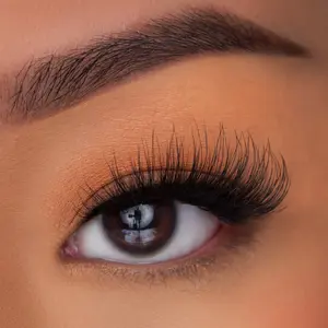Classic Set Strip Lashes, Natural Everyday False Eyelashes