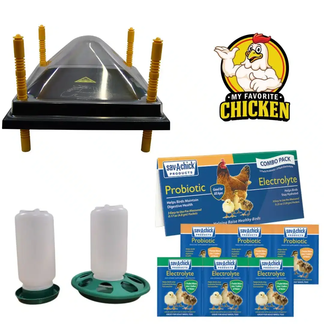 Baby Chick Brooder Starter Kit | Heat Plate, Feeder & Drinker