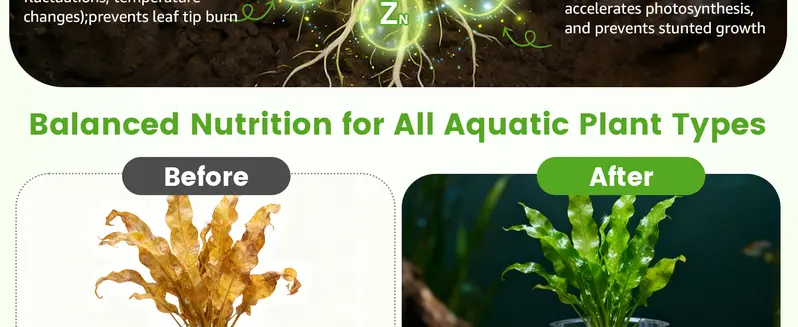 Root Tabs Freshwater Aquarium Plant Fertilizer, Slow-Release 100 Tabs 1g/Tab, Safe for Fish and Shrimp, for Planted Aquarium Substrate