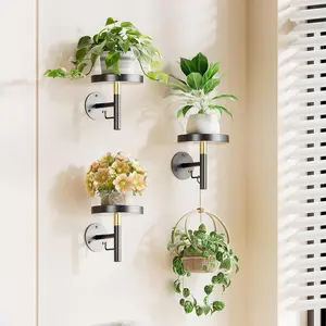 3 Pack Wall  Holder Wall Planters for Indoor   Window  Shelves Hanger Decor (Black)