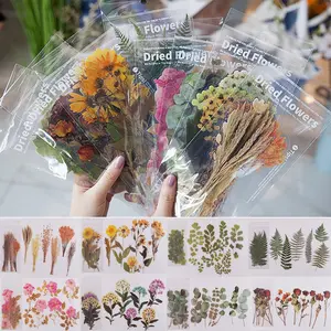 A set of 48 Transparent Flower Stickers for Scrapbooking Nature Plant Stickers Floral Stickers Vintage Craft Sticker Colorful Flower Sticker for Journaling Scrapbooking Clear Flower Decals  - Home Improvement.