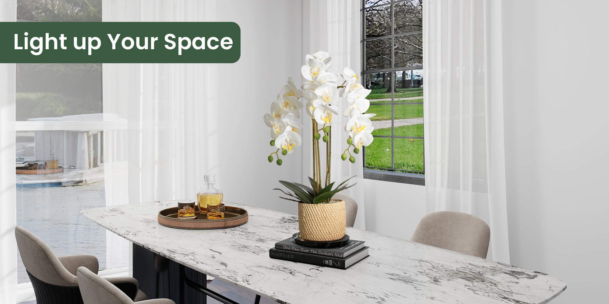 Porch decor.ennva ceramic potted artificial orchid flowers, white faux phalaenopsis for table decoration, realistic artificial flower ornaments suitable for home and office interior decoration Porch decor.ennva ceramic potted artificial orchid flowers, white faux phalaenopsis for table decoration, realistic artificial flower ornaments suitable for home and office interior decoration