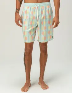BILLABONG Shorey Print Mens Swim Trunks