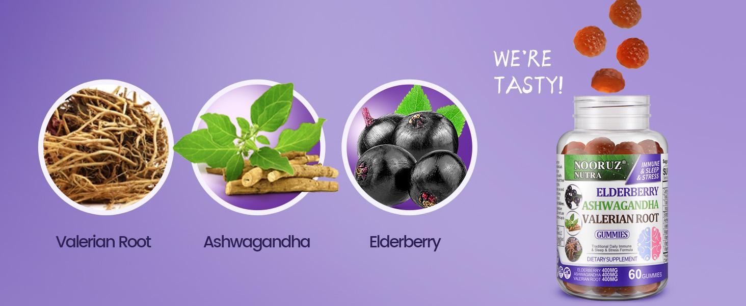 TikTokShopBlackFriday  NOORUZ Ashwagandha Elderberry Valerian Root Gummies Vegan Plant Extracts GMO Free/Gluten Free/Gelatin Free/ Helps Maintain Healthy Cortisol Levels