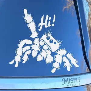 Adorable Spider Waving Hi Car Decal: Goth Punk Bumper Sticker