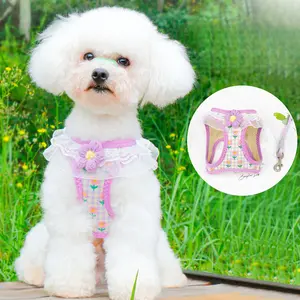 Vest Type Dog Harness and Leash Set, Breathable No Pull Chest Back Belt, Walking Lead Chain for Teddy Bichon Pomeranian Small Dogs