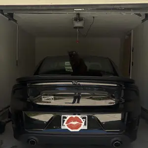 Custom Smoked Rear Tail Light Covers Trim for 2015+ Dodge Charger - Self-Adhesive Laser Cut Fit ABS Car Light Covers, Scratch-Proof UV-Coated Exterior Easy-Install Accessories