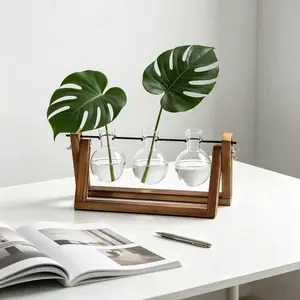3 Bulbs Plant Propagation Station Retro Wooden Stand Desktop Glass Terrarium Home Decor Gift,Plant Terrarium for Indoor Plants, Home Office Desk Decor,Gifts for Plants Lovers