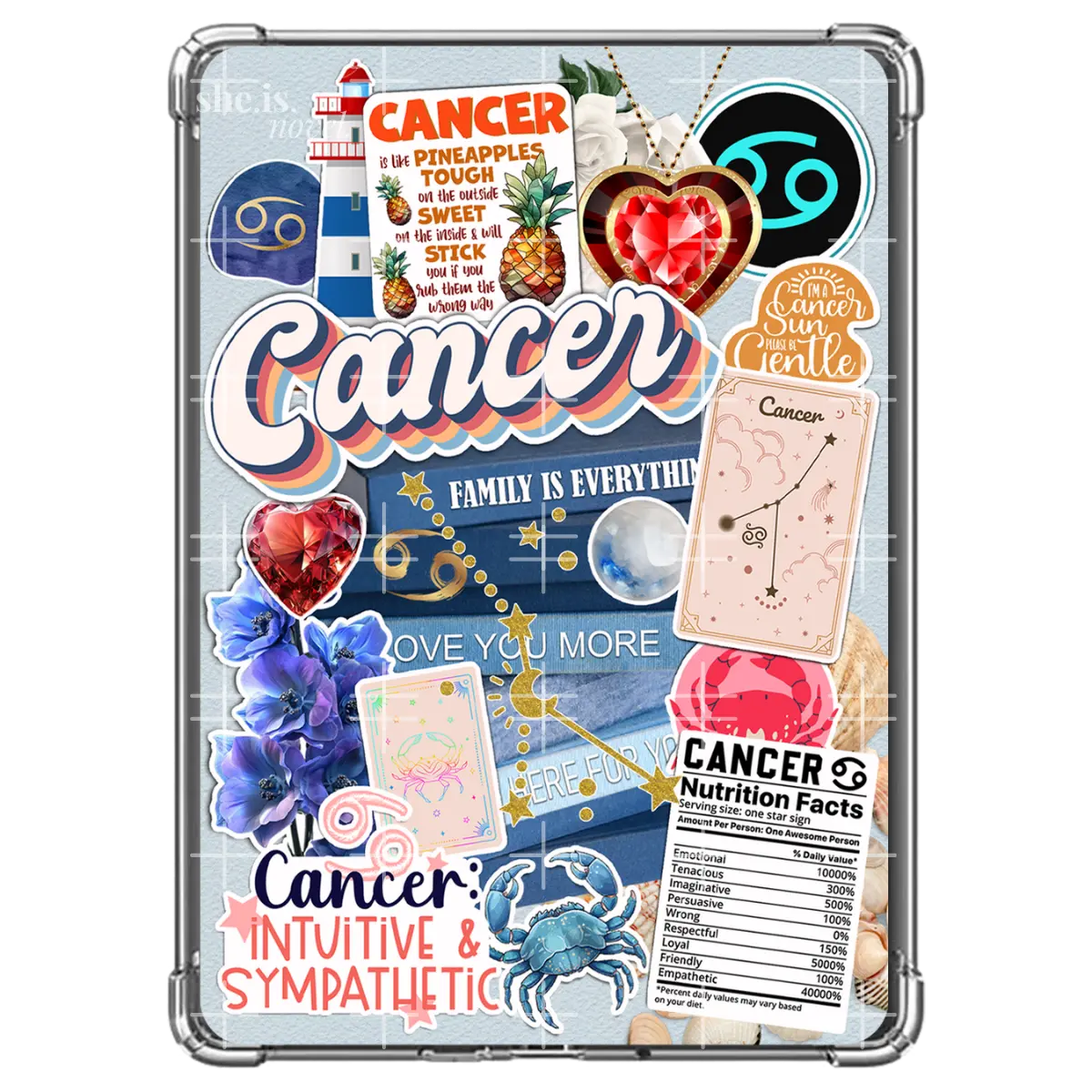 CANCER Reader (Variety Pack) | Kindle | Kobo | Boox E-Reader Inserts