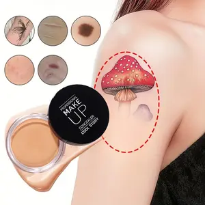 Waterproof Full Coverage Concealer Cream, Matte Finish, Covers Acne, Dark Circles, Under Eye Bags, Long Lasting, Body Concealer, 6 Colors Available
