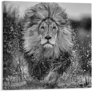 David Yarrow Art Photography Black And White 86 Poster Printing Home Wall Art Decor Print Canvas for Living Room Bedroom Office Gift Frame-style 16x16inch(40x40cm)