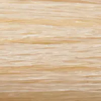 10G Lightest Golden Blonde